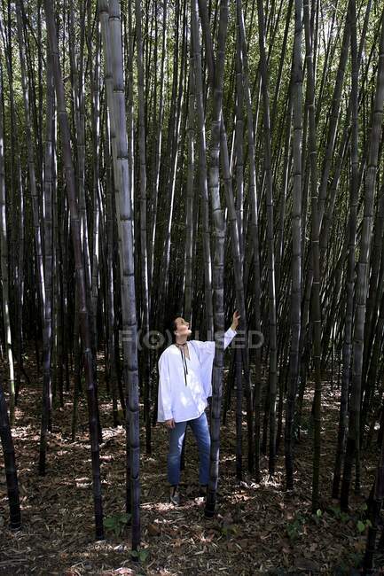 Mujer de pie en un bosque de bambú - foto de stock