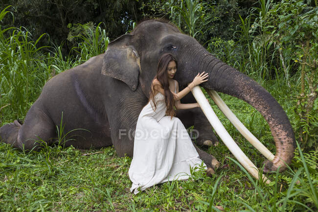 Женщина гладит слона, Тегаллаланг, Бали, Индонезия — стоковое фото