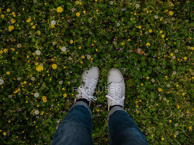 Primer plano de los zapatos de una mujer de pie en un prado de flores, Marsella, Francia - foto de stock