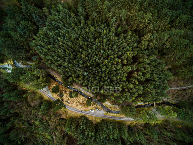 Vista aérea del Parque Forestal Nacional Gougane Barra, condado de Cork, Irlanda - foto de stock