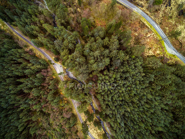 Vue aérienne du parc forestier national Gougane Barra, comté de Cork, Irlande — Photo de stock