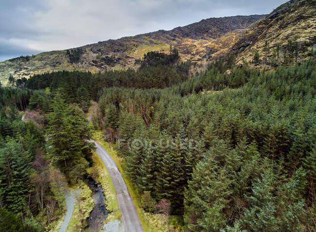 Vista panoramica di Road through Gougane Barra National Forest Park, Contea di Cork, Irlanda — Foto stock