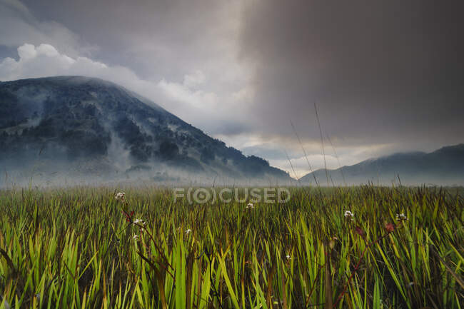 Monte Bromo ao pôr do sol, Java Oriental, Indonésia — Fotografia de Stock
