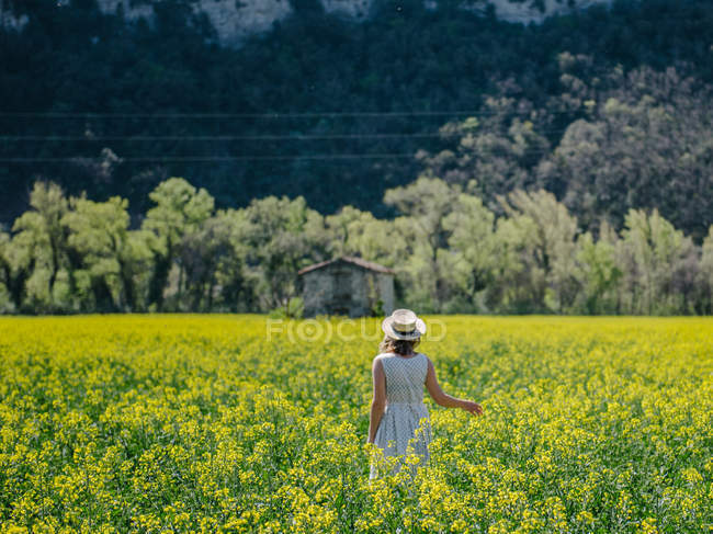 Donna che cammina in un campo di colza, Valensole, Provenza, Francia — Foto stock