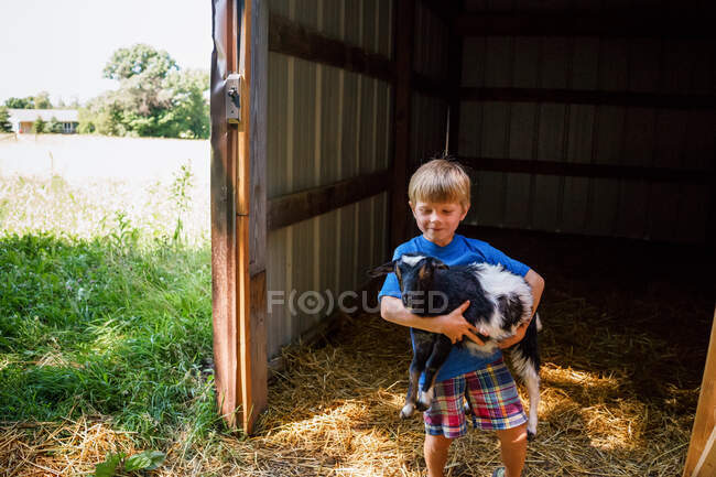 Menino carregando cabra adorável na propriedade — Fotografia de Stock