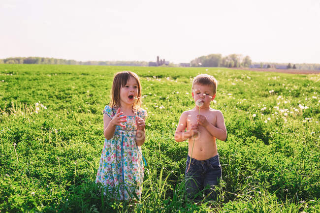 Junge und Mädchen stehen auf einem Feld und pusten Löwenzahnuhren — Stockfoto