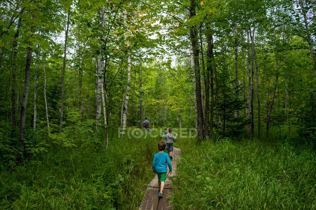 Père avec quatre enfants marchant à travers un sentier dans les bois — Photo de stock