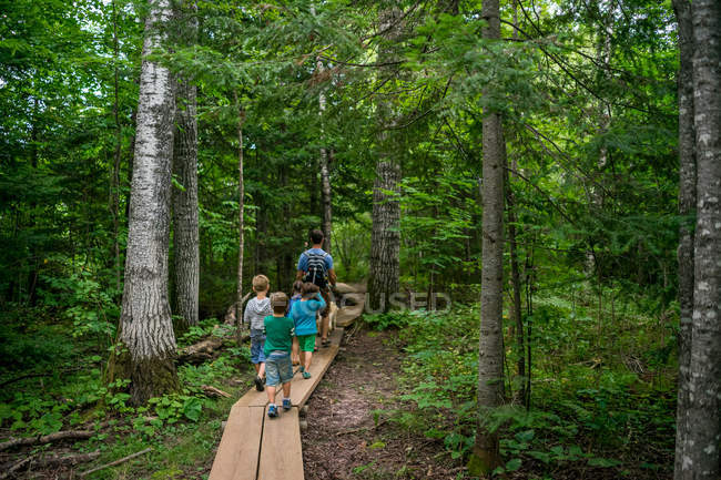 Vater mit vier Kindern wandert durch einen Waldweg — Stockfoto