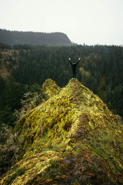 Hombre de pie en la cima de la montaña con los brazos levantados, Columbia River Gorge, Washington, América, EE.UU. - foto de stock
