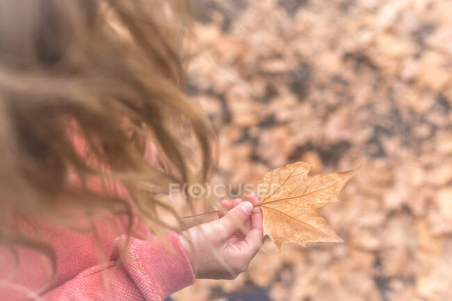 Tiro cortado de menina segurando uma folha — Fotografia de Stock