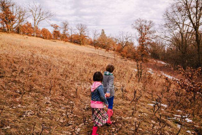 Two children running up a hill holding hands — Stock Photo