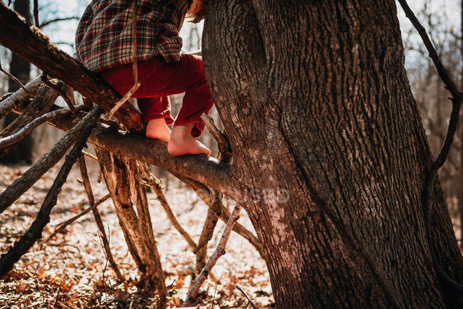 Garçon grimpant un arbre — Photo de stock