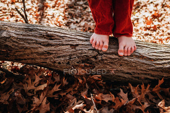 Gros plan d'un garçon debout sur une bûche pieds nus — Photo de stock