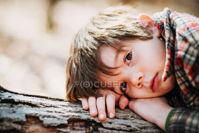 Портрет мальчика, лежащего на бревне в лесу — стоковое фото
