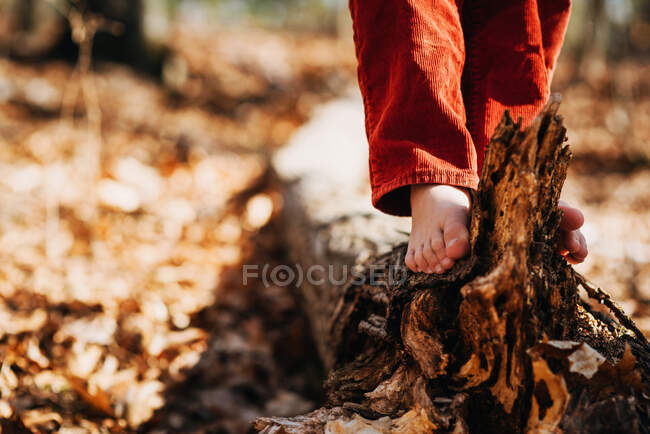 Niño parado en un tronco en el bosque - foto de stock