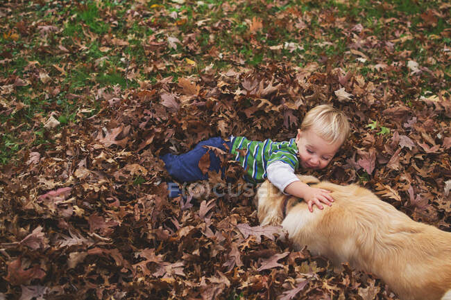 Boy lying in autumn leaves playing with golden retriever dog — Stock Photo