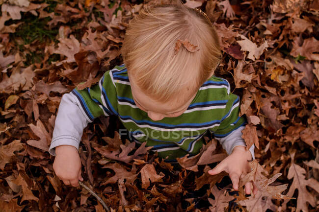 Vue de dessus du garçon jouant dans les feuilles d'automne — Photo de stock