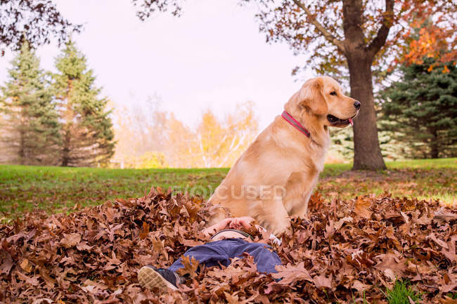 Boy lying in autumn leaves with golden retriever dog — Stock Photo
