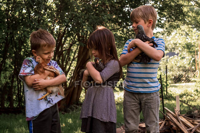 Tre bambini che tengono i polli — Foto stock