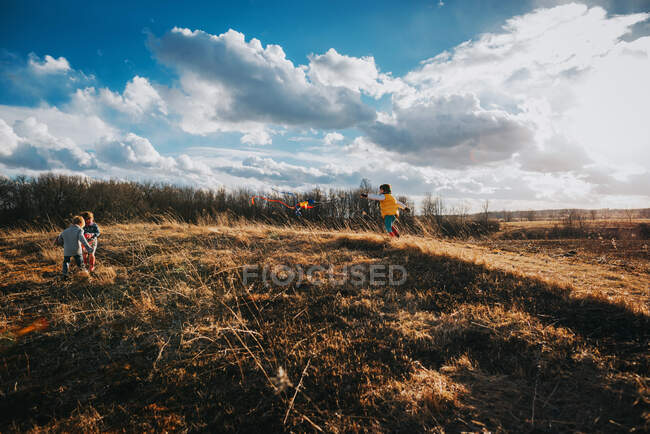Tres niños de pie en la colina jugando con una cometa - foto de stock