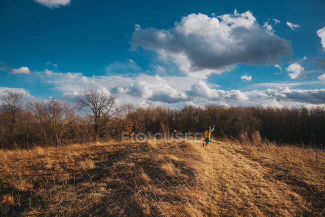 Fille debout sur une colline tenant un cerf-volant — Photo de stock