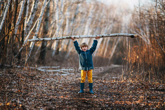 Niño sosteniendo pedazo de madera de abedul por encima de su cabeza - foto de stock