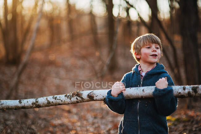 Niño llevando pedazo de madera de abedul en el bosque - foto de stock