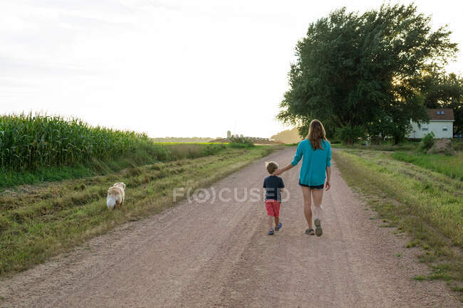 Mother and son walking down the road with a golden retriever dog — Stock Photo
