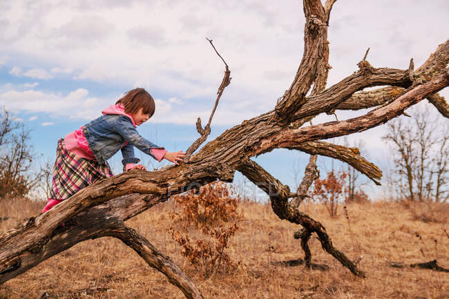 Kleines Mädchen klettert auf toten Baum — Stockfoto