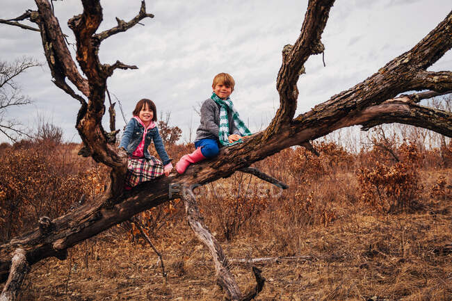 Garçon et fille assis dans un arbre mort — Photo de stock