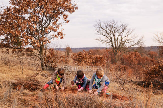 Due ragazzi e una ragazza che giocano in un paesaggio rurale — Foto stock