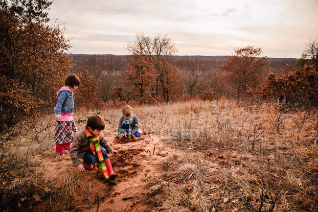 Due ragazzi e una ragazza che giocano in un paesaggio rurale — Foto stock