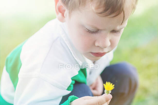 Garçon cueillette une fleur de pissenlit — Photo de stock