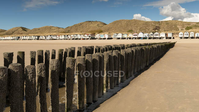 Groynes de madera y cabañas de playa en la playa, Koudekerke, Zelanda, Holanda - foto de stock