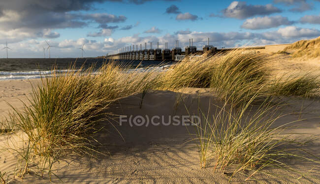 Delta Works e dunas de areia na praia, Kamperland, Zelândia, Holanda — Fotografia de Stock
