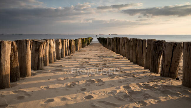 Groynes de madeira na praia, Vlissingen, Zelândia, Holanda — Fotografia de Stock