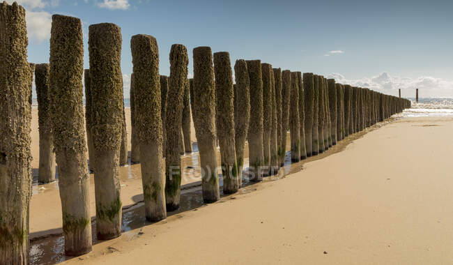 Groynes de madeira na praia, Koudekerke, Zelândia, Holanda — Fotografia de Stock