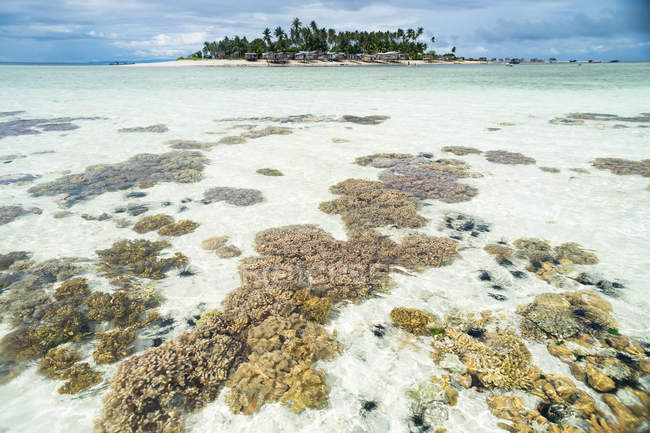 Barriera corallina e isola tropicale, Semporna, Sabah, Malesia — Foto stock