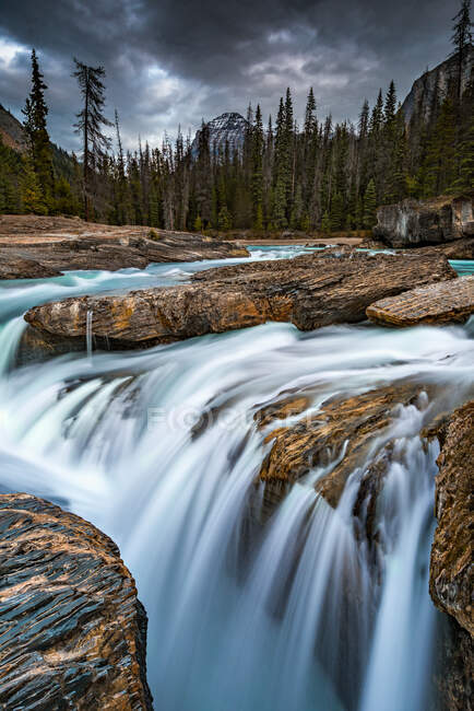 Río y cascada, Parque Nacional Yoho, Columbia Británica, Canadá - foto de stock