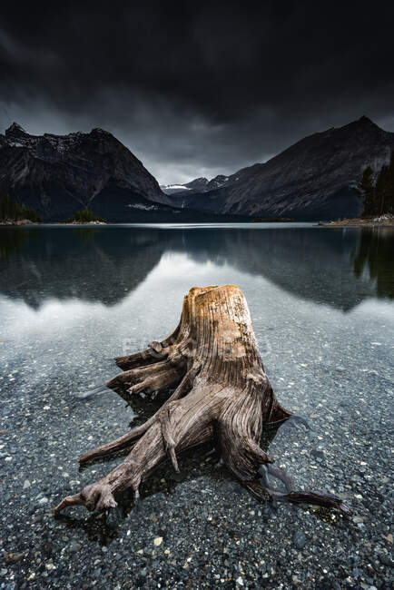 Madera a la deriva en el lago Kananaskis superior, Alberta, Canadá - foto de stock