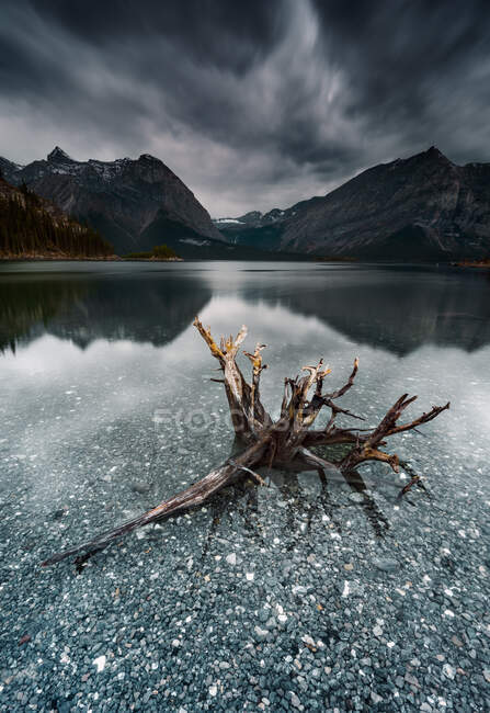 Legna da ardere nel lago superiore kananaskis, Alberta, Canada — Foto stock