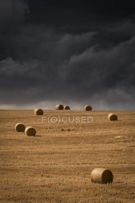Hay bales in a field during a storm, Garden Route, Western Cape, South Africa — Stock Photo