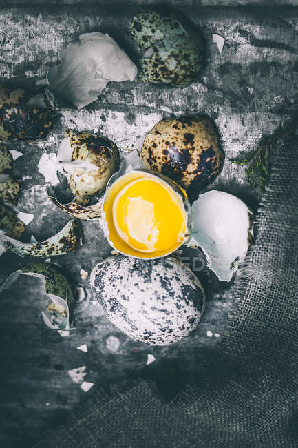 Vista superior de ovos de codorna, casca e gema de ovo — Fotografia de Stock