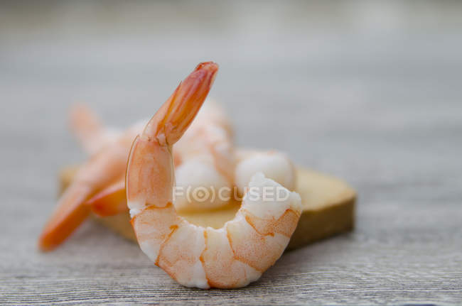 Close-up view of a prawn and prawn toast — Stock Photo