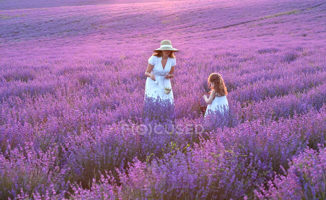 Мати з дочкою стоять на полі в лаванді (Болгарія). — стокове фото