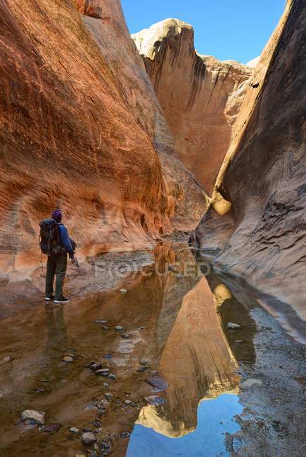 Rear view of Man Hiking in the Halls Creek Narrows, Capital Reef National Park, Utah, America, USA — Stock Photo
