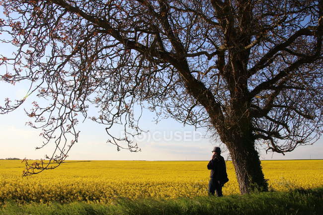 Чоловік, що стоїть біля дерева на полі з ріпаком (Ніорт, Франція). — стокове фото