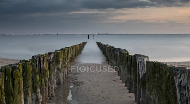 Wooden groynes on the beach, Vlissingen, Zeeland, Holland — Stock Photo