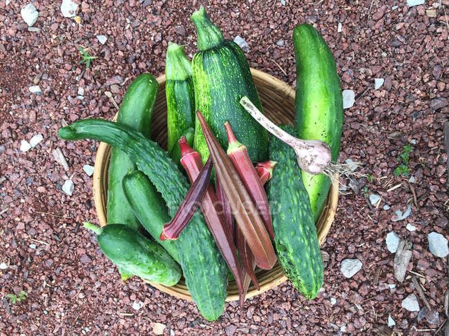 Cuenco con calabacines recién recogidos, pepinos, okra y ajo - foto de stock