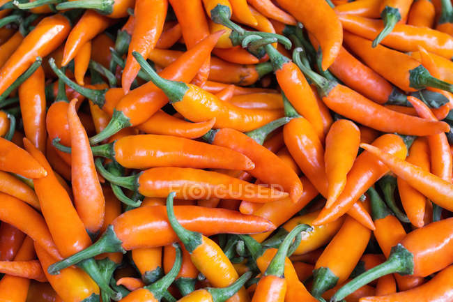 Orange chili peppers placed in heap — Stock Photo